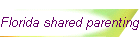 Florida shared parenting definition